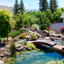 Landscape Ideas