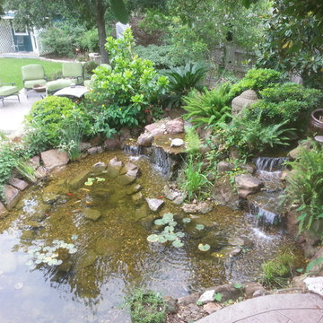 Ecosystem Ponds, Water Garden Ideas for Your Austin, Central Texas Landscape