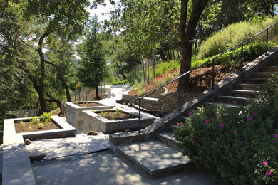 Design ideas for a craftsman landscaping in San Francisco.