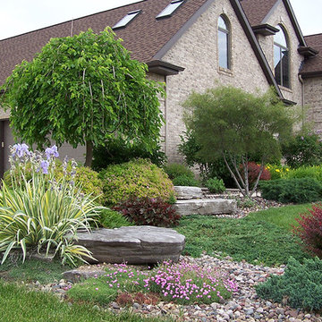 Landscape Ideas