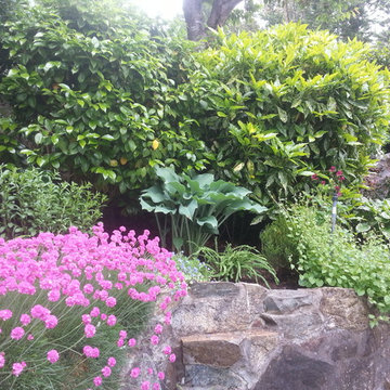 Madeira Park