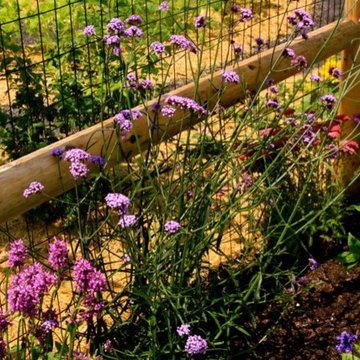 Zen Vegetable Garden… to die for!