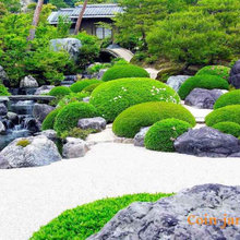 jardin japonais