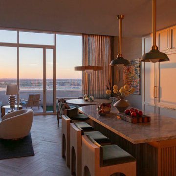 Two-Story Penthouse Renovation, W Dallas South Tower