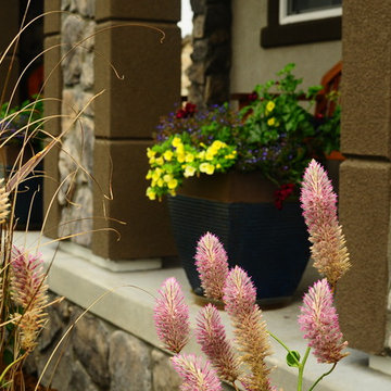 Phillip's Patio