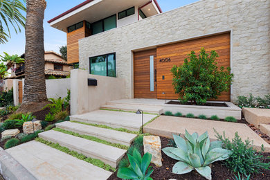 Inspiration for a modern pivot front door remodel in Orange County