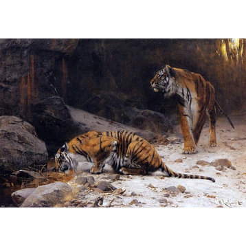 Wilhelm Kuhnert Tigers at a Drinking Pool, 18"x27" Wall Decal