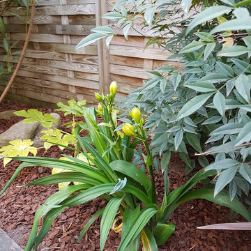Petit jardin de Ville