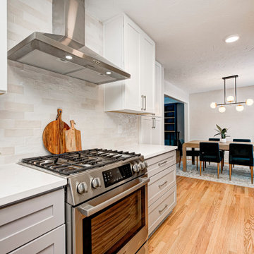 Devonshire Transitional Renovation