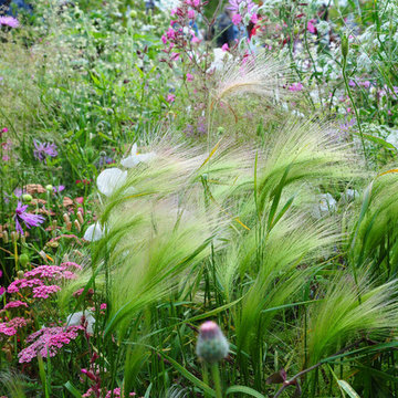 Hampton Court Flower Show 2010