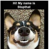 Mimi Dobbs's photo