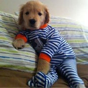 Heather Cappellini's photo