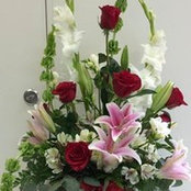 Anns Bridal's photo