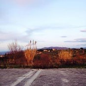 Photo de Francesca Ballerini