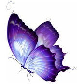 Amy Rapp's photo