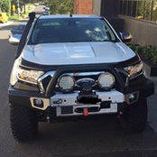 Andrew Mammarella's photo