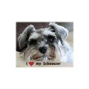 Brenda Barker's photo