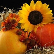 Michelle Labossiere's photo