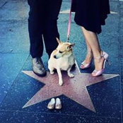Foto von Natalie Friedman