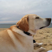 Russell Powell's photo