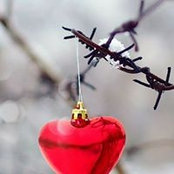 Lisa Mergenthal's photo