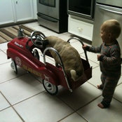Foto de Lindsay Golden Dauber
