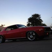 Jake Tosh's photo