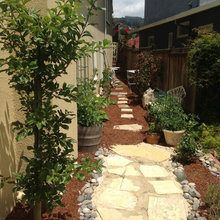 Narrow Dirt Space