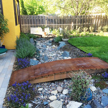 Rain Gardens