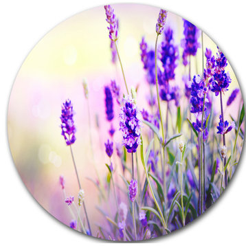 Purple Lavender Field, Floral Photography Disc Metal Wall Art, 36"