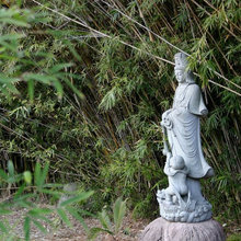 Feng Shui Garden