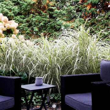 Stephanie Scott Landscape Design Inc