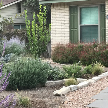 Various Xeriscapes by Team Rhinamic