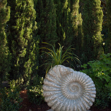 Shell Planter