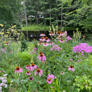 Mixed Planting Border