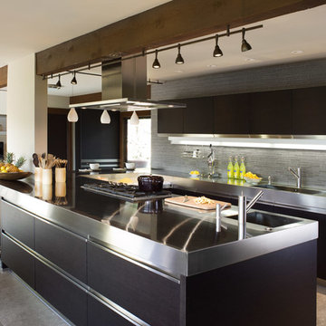 Arclinea Kitchen - Marin County Kentfield