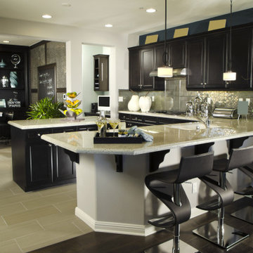 Modern Homes