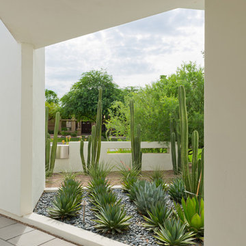Modern Front Entry Remodel