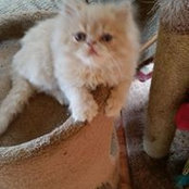 Christine Heitmeyer's photo