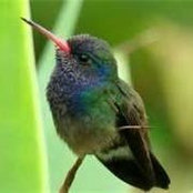 Nancy Germano's photo