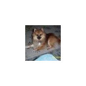 Sharon Bowen's photo