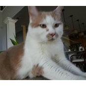 Ann Smith's photo