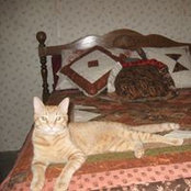 Joyce Mitchell's photo