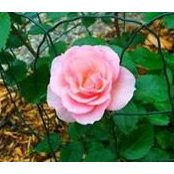 Glynis Vacek's photo