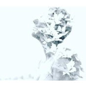 Cindy Johnson's photo