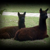 Wendy Steen's photo