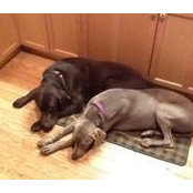 Jeff Archer's photo