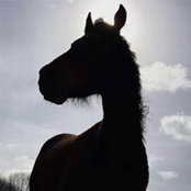 Caren Harper's photo