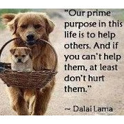 Peggy Lucas's photo