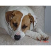 Lorie Gabriel's photo